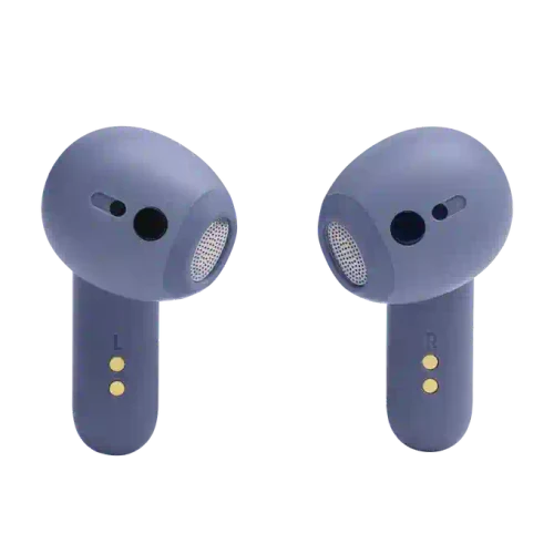 JBL Live Flex Blue