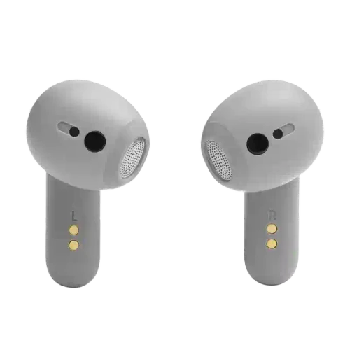 JBL Live Flex Silver