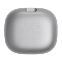 JBL Live Flex Silver 5