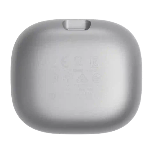 JBL Live Flex Silver