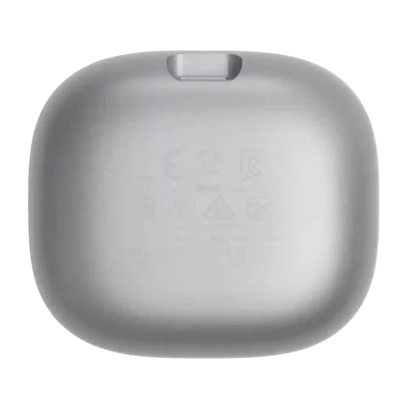 JBL Live Flex Silver 5