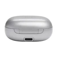 JBL Live Flex Silver 6