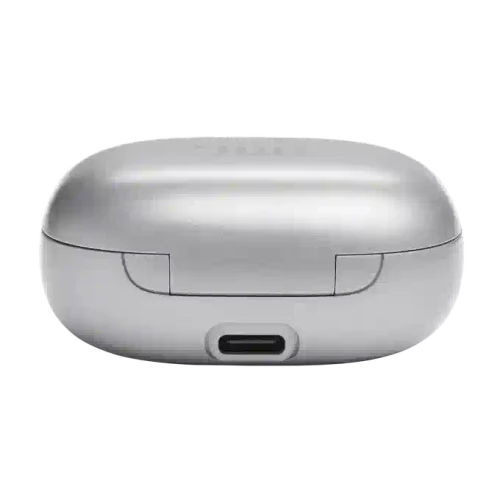 JBL Live Flex Silver