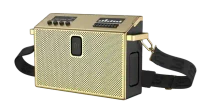 BT Speaker Large Brass 2