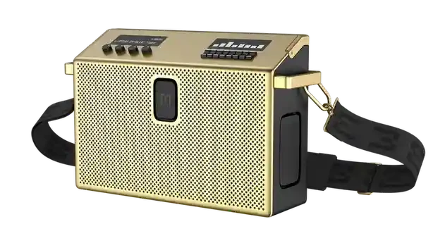 BT Speaker Large Brass 2