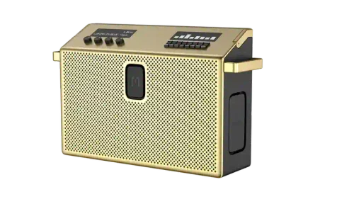 BT Speaker Large Brass
