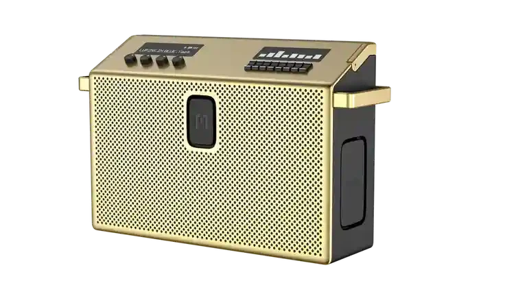 BT Speaker Large Brass 3