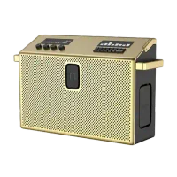 BT Speaker Large Brass