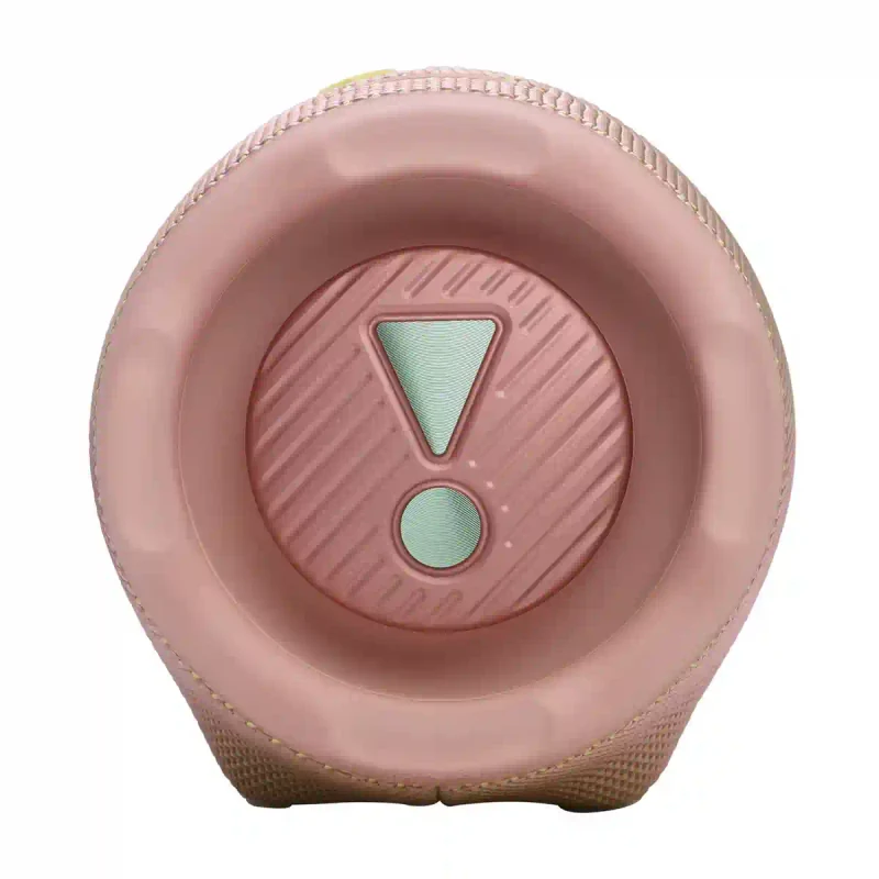 JBL Charge 6 Pink 4