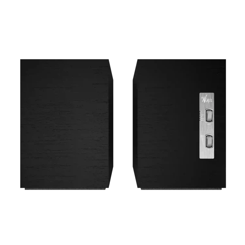 Klipsch The Nines Matte Black 5