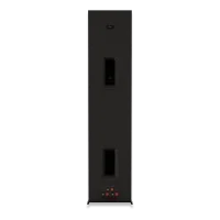 RP-8000F II (Пара) 17