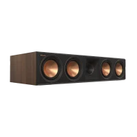 RP-404C II 17