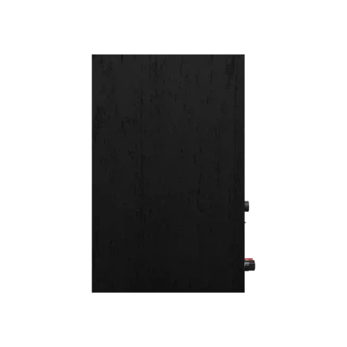 Klipsch R-40PM