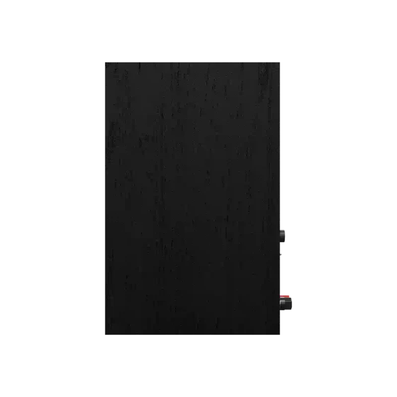 Klipsch R-40PM 5