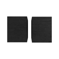Klipsch R-40PM 4