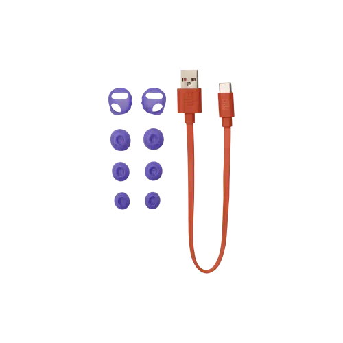 JBL Endurance Race 2 Purple
