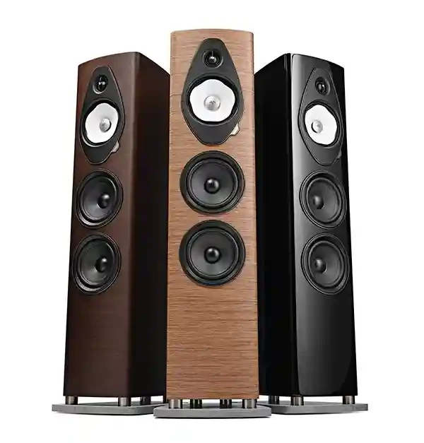 Sonus Faber Sonetto V G2 (Пара) 3