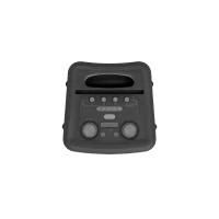 Klipsch Vegas 15