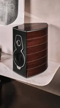 GUARNERI (Pereche) 2