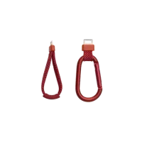 JBL Flip 7 Red 9