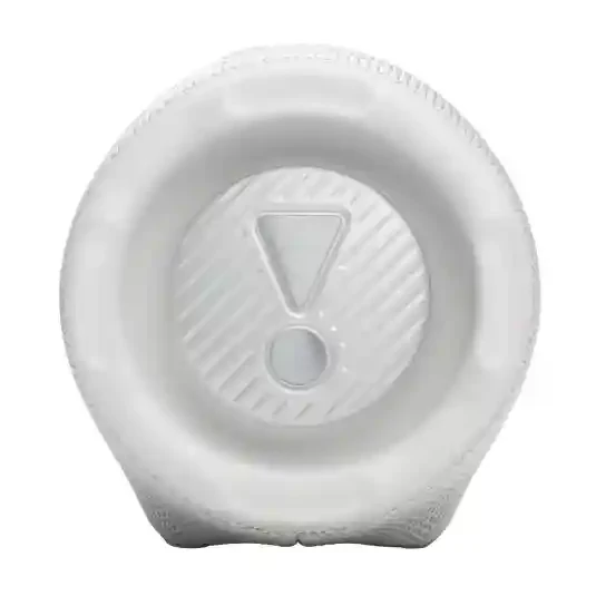 JBL Charge 6 White 9
