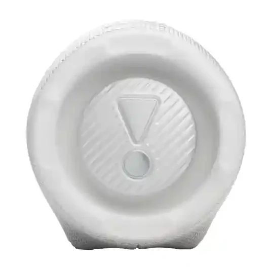 JBL Charge 6 White 8