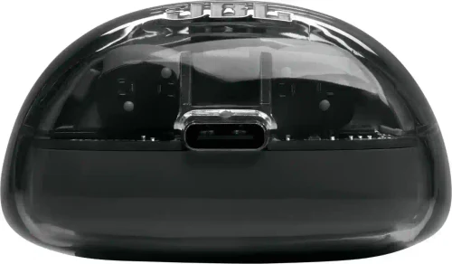 JBL Tune Flex 2 Ghost Black