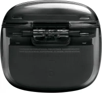 JBL Tune Flex 2 Ghost Black 5