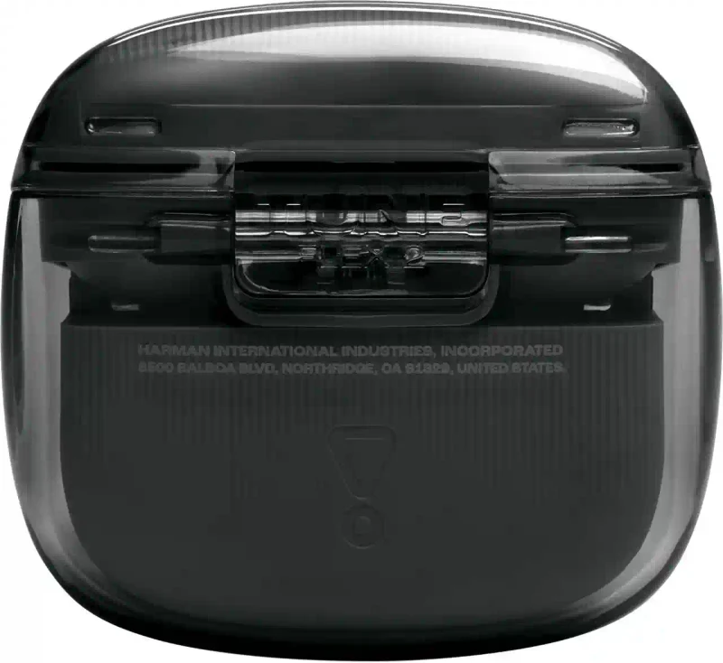 JBL Tune Flex 2 Ghost Black 5