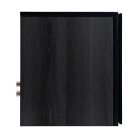 Aurora XT 300 Black / Oak