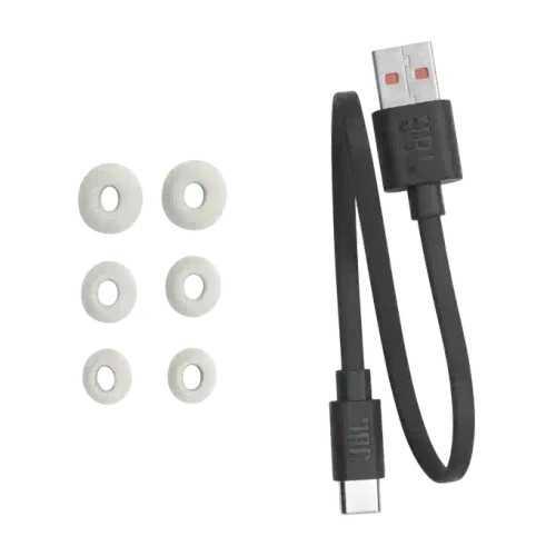 JBL Tour Pro 2 TWS Silver