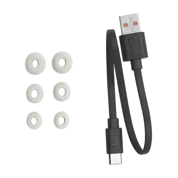 JBL Tour Pro 2 TWS Silver 2