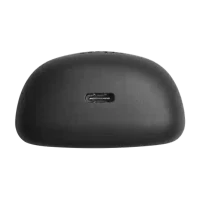JBL Tune Flex Black 5