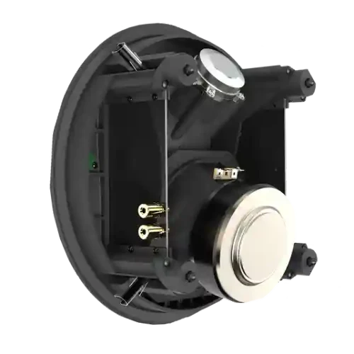 SCL-8