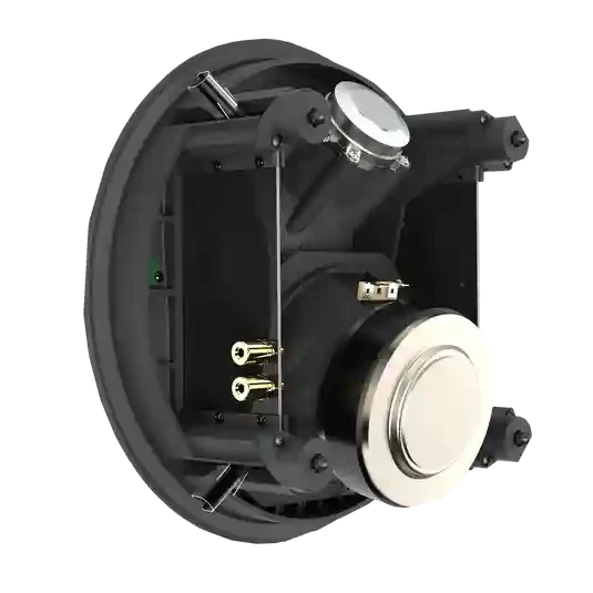 SCL-8 6