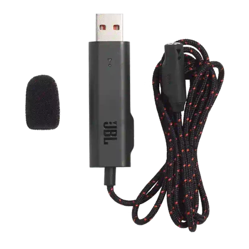 JBL Quantum 300